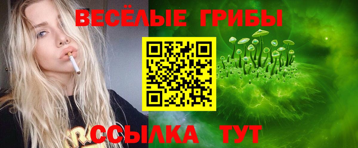 Псилоцибиновые грибы MAGIC MUSHROOMS Нижнеудинск
